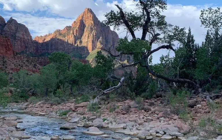 8 Easy Hikes in Zion National Park (Complete Guide!)