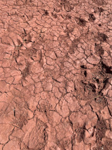 Cracked dirt at Canyonlands National Park