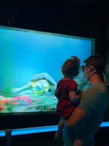 Virtual Aquarium at Moab Giants