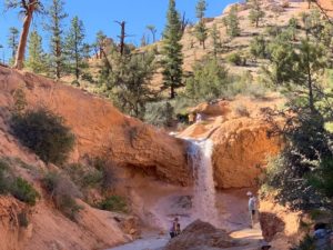 waterfall at bryce canyon mossy cave trail