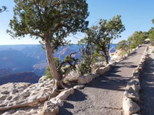trail of time at the grand canyon