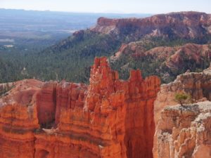 Bright red Bryce Canyon from the sunset point trail