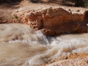 Water flowing at the Mossy Cave Trail at Bryce Canyon National Park