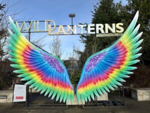 WildLanterns in Seattle