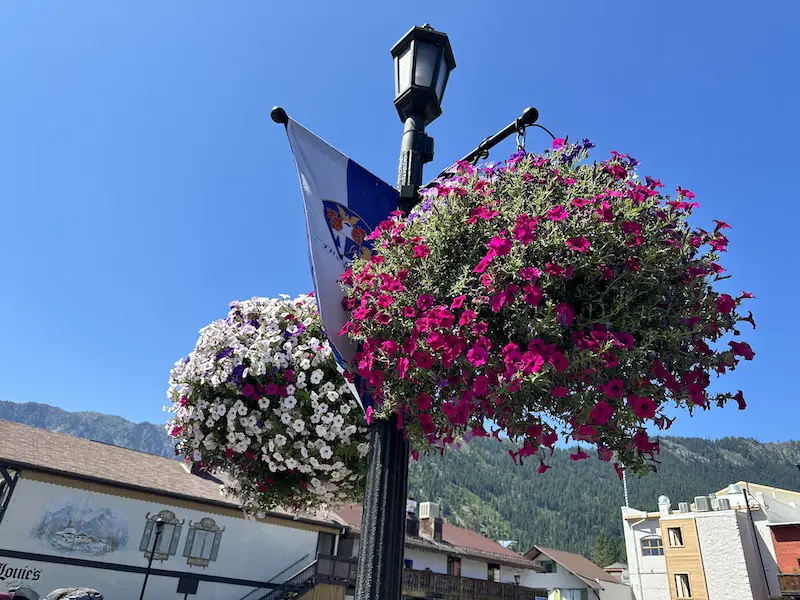 Beautiful hanging flower baskets in Leavenworth, WA