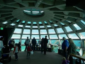 underwater dome at the Seattle Aquarium
