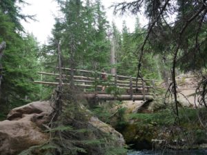 log footbridge