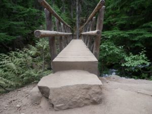 log bridge on Colchuck Lake Trail