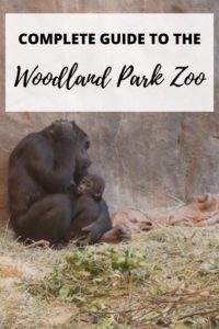 Pinterest Pin for the woodland park zoo