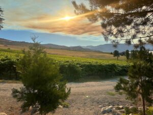 Wine country in Chelan