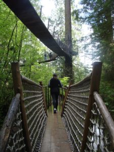 Capilano Suspension Bridge Treetops Adventure