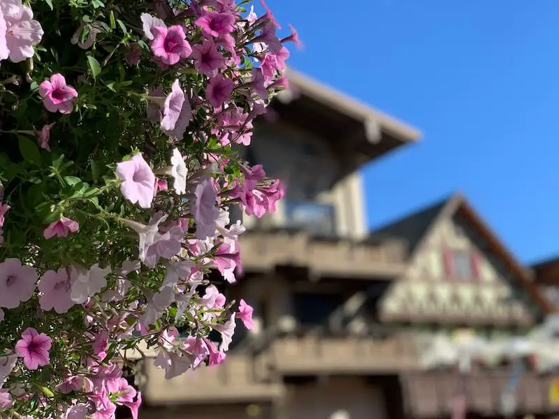 Things to Do in Leavenworth
