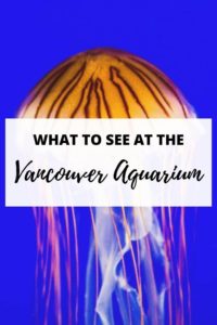 Pinterest Pin for Vancouver Aquarium