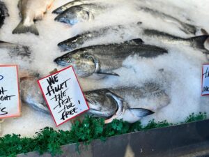 fish for sale at pike place market