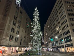 The Giant Sequoia Tree in downtown Seattle all lit up for the holidays