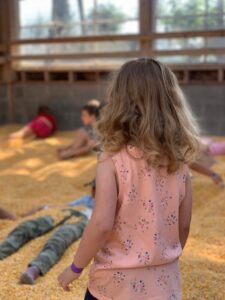 corn box at Swans Trail Farms 2022