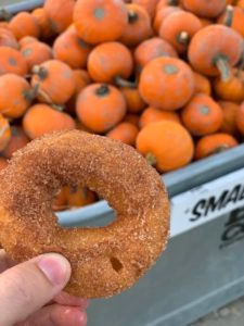 apple cider donuts at Craven Farm in Snohomish