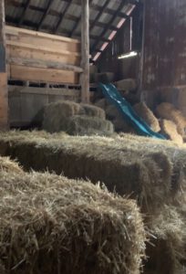 hay maze at Swans Trail Farms