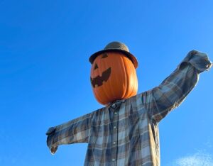 Pumpkin Scarecrow at Swans Trail Farms