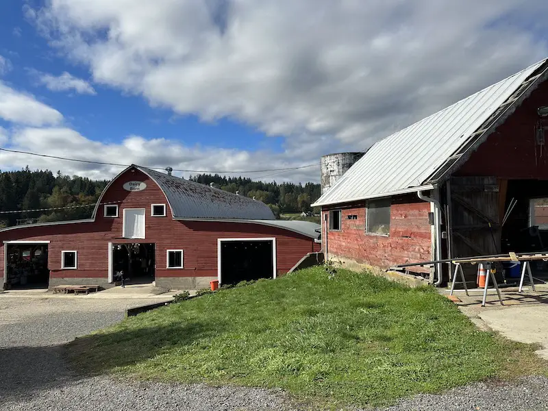 18 Best Pumpkin Patches Near Seattle (Full Review!) - Our Adventure Journal