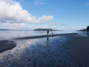 beach walk on Vashon Island
