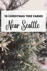 Pinterest Pin for best Christmas Tree Farms Near Seattle