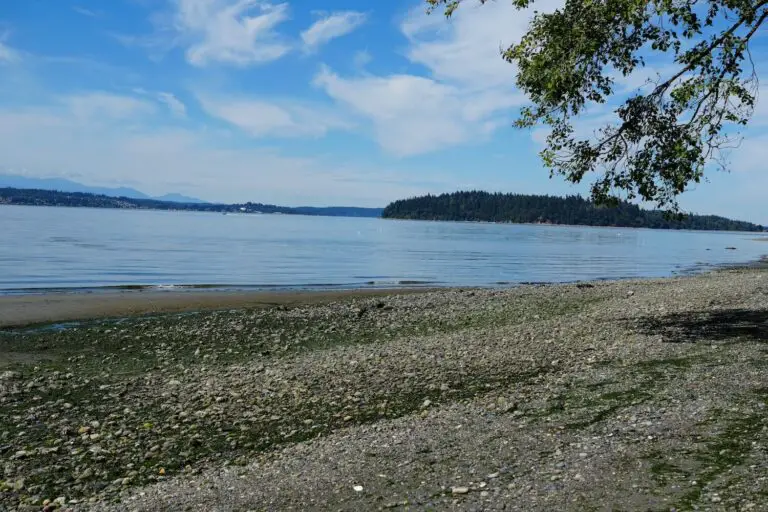 Walking the beach on Vashon Island
