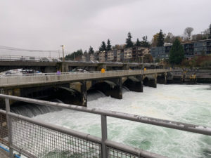 Ballard Locks Hiram M. Chittenden best things to do in Seattle