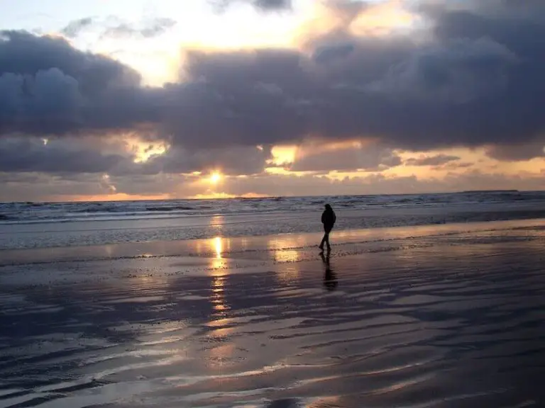 Our Guide to Visiting Kalaloch Beach - Our Adventure Journal