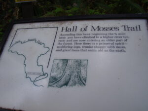Hall of Mosses Trail map in Hoh Rain Forest in Olympic National Park