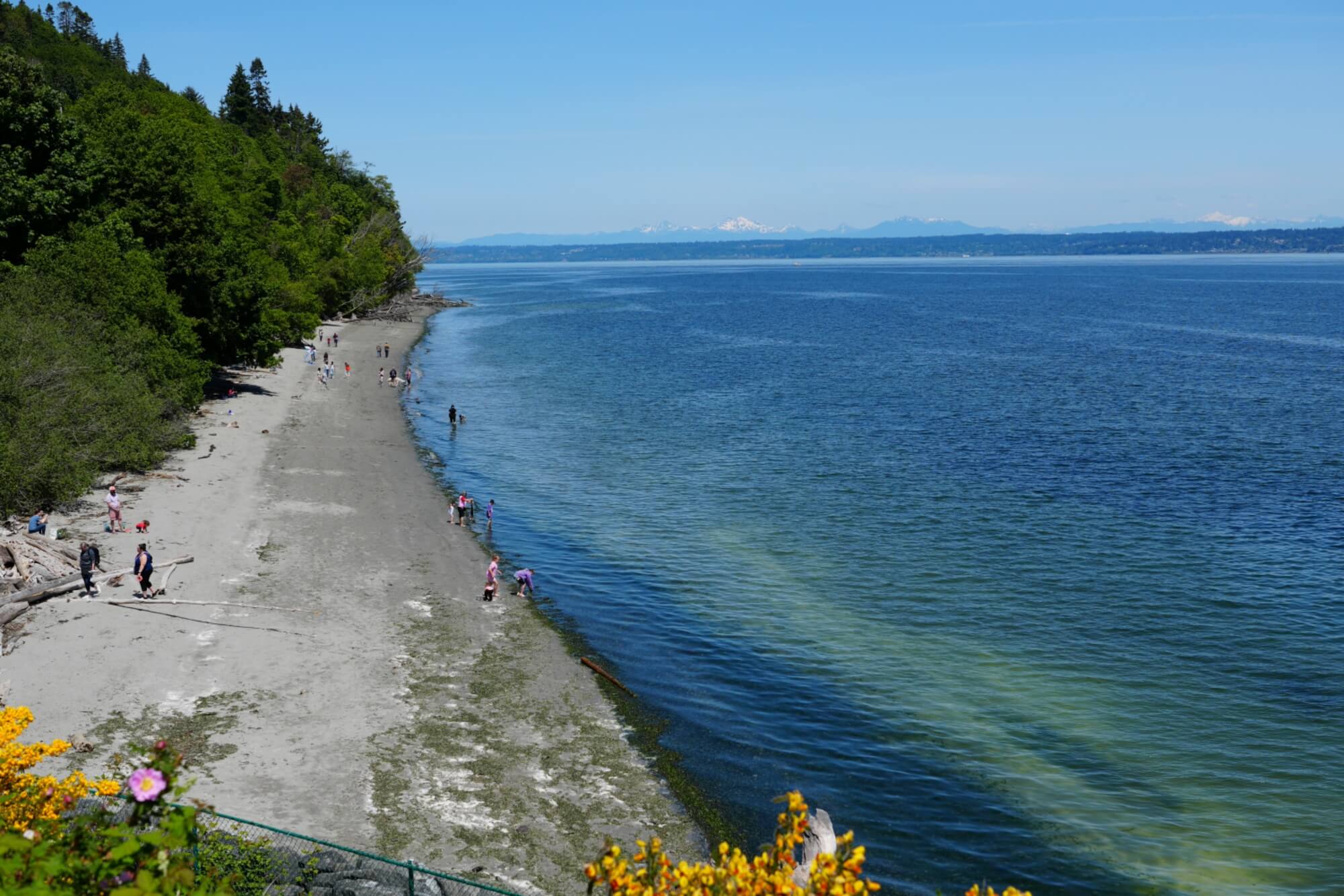 Day trip to Kingston from Seattle Area, on the Kitsap Peninsula