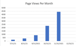 page views per month traffic report new blog