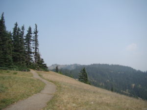 Hurricane Ridge Olympic National Park