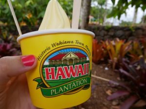 dole whip at the Dole Pineapple Plantation, things to do in Hawaii
