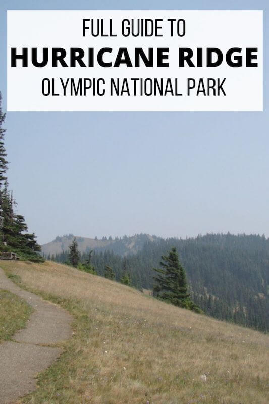Hurrizan Ridge Visiting Hurricane Ridge in Washington (Full Guide) - Our Adventure Journal