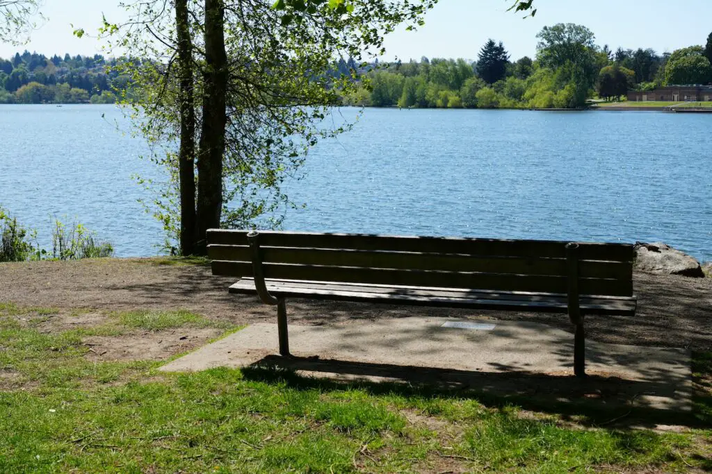 peaceful bench at Green Lake