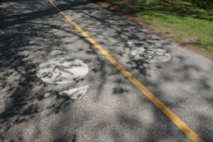 bike and walking path at Green Lake