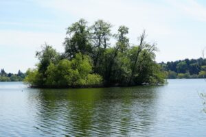 Duck Island at Green Lake Seattle