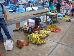Iquitos Market in Nanay in Peru