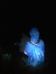 nocturnal hike in the Amazon Rainforest