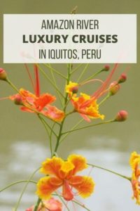 Amazon River Luxury Cruises Iquitos PInterest