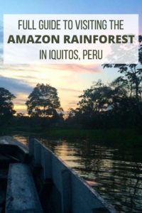 Amazon Rainforest Pinterest
