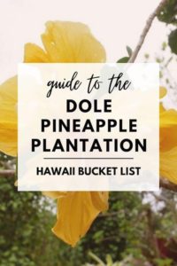 Pinterest for Dole Pineapple Plantation in Oahu, Hawaii
