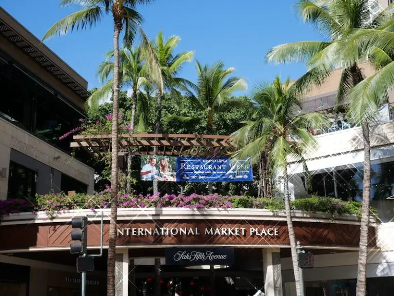 What to See at the International Market Place in Waikiki