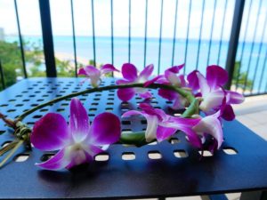 a flower lei on a balcony in Hawaii