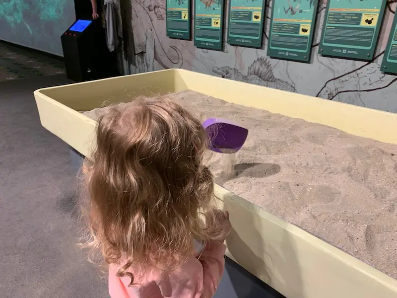 Full Review of the Dinos Alive Exhibit - Our Adventure Journal