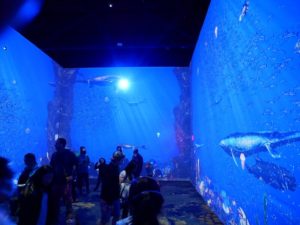 Dinos Alive virtual aquarium