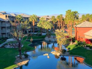 WorldMark Indio Near Palm Trees