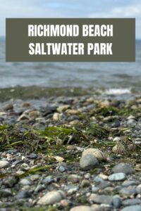 Pinterest pin for Richmond Beach Saltwater Park