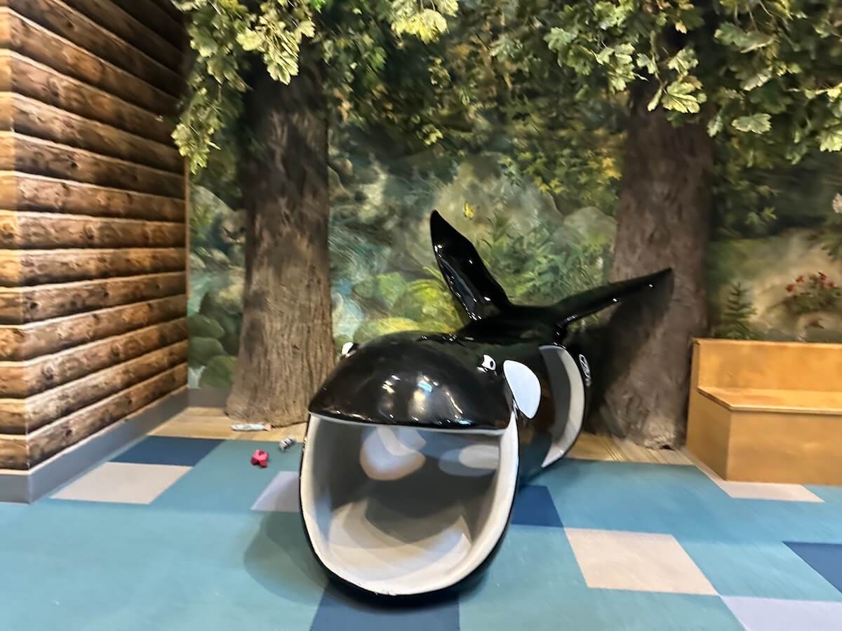 Orca cove exhibit at the Seattle Children's Museum